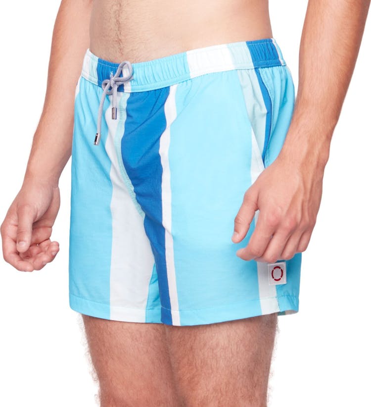 Product gallery image number 3 for product 90’s Stripe Swim Shorts - Men's