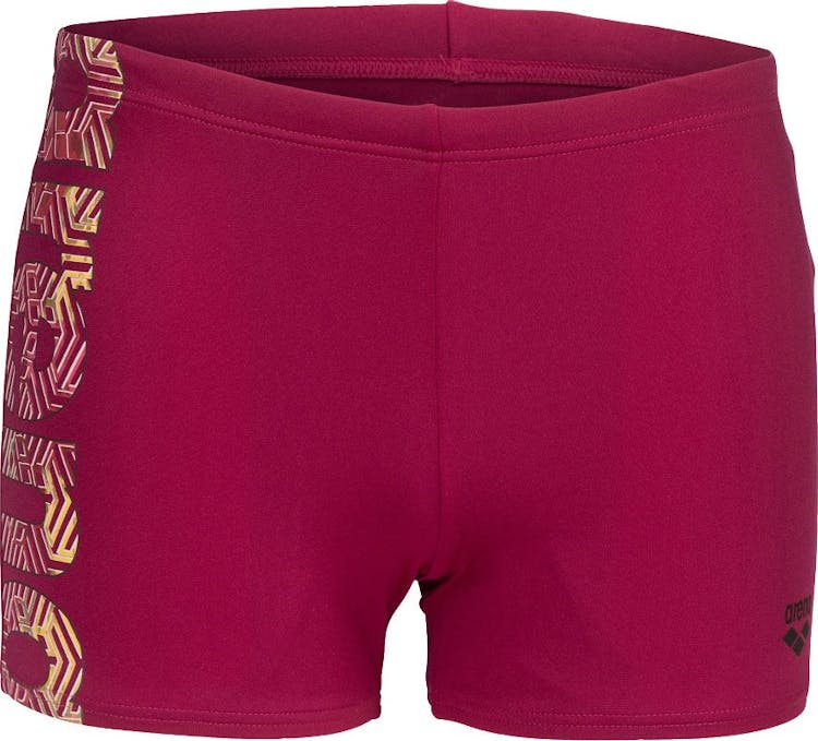Product gallery image number 1 for product Kikko Pro Graphic Print Swim Short - Men's