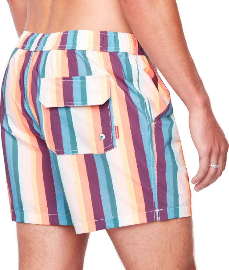 Product gallery image number 3 for product Stripes 2.0 Swim Shorts - Men's 