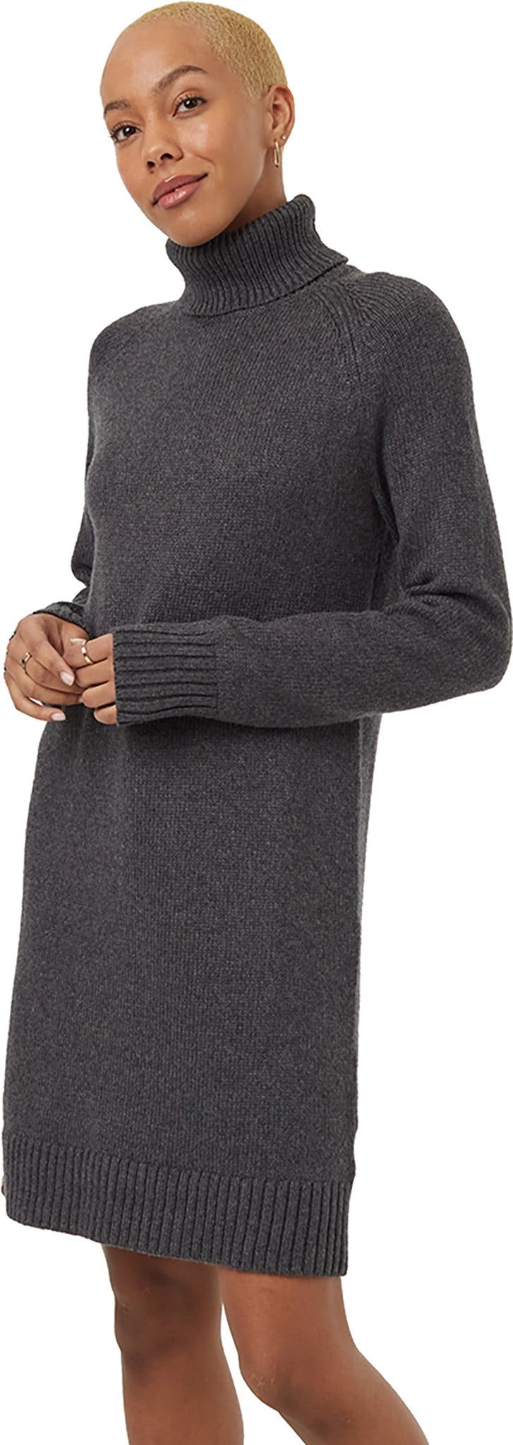 Product gallery image number 1 for product Highline Turtleneck Dress - Women's