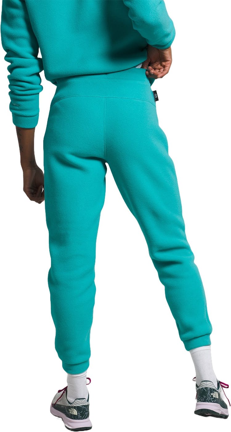 Product gallery image number 3 for product Alpine Polartec 200 Pant - Women's