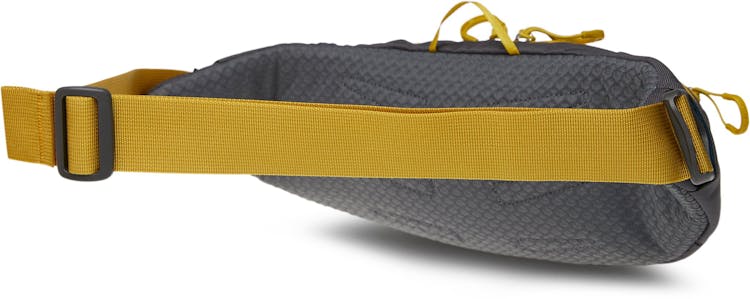 Product gallery image number 5 for product Daylite Waist Pack 2L