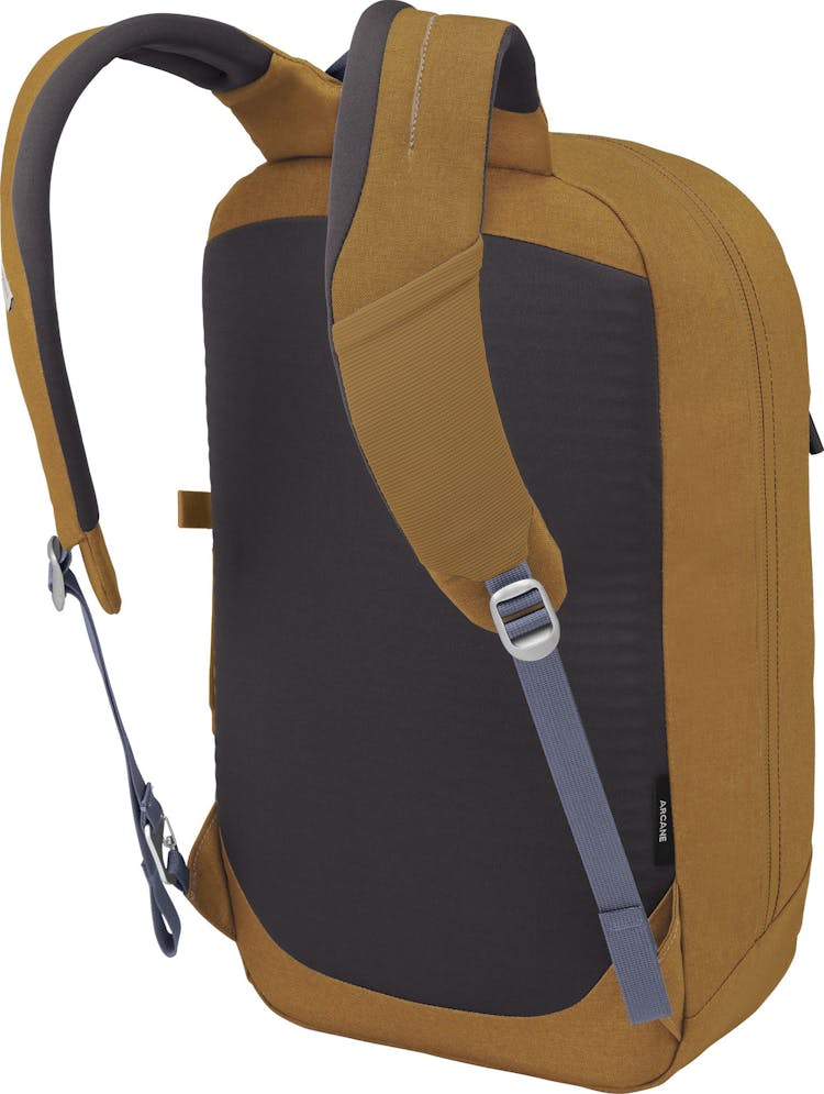 Product gallery image number 4 for product Arcane Large Day Backpack - Unisex