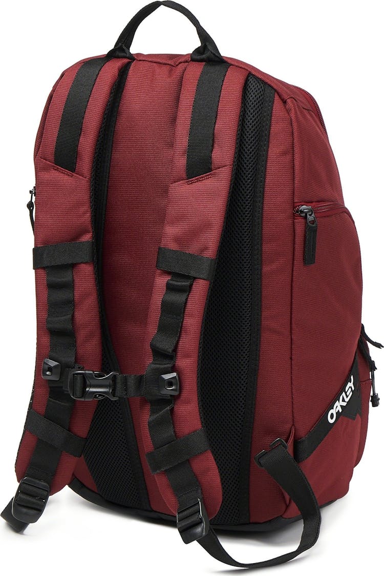 Product gallery image number 2 for product Street Organizing Backpack 22L