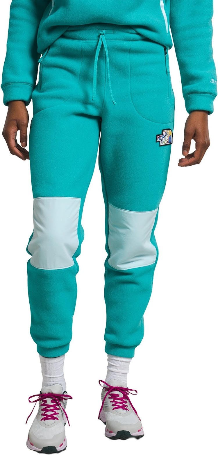 Product gallery image number 1 for product Alpine Polartec 200 Pant - Women's