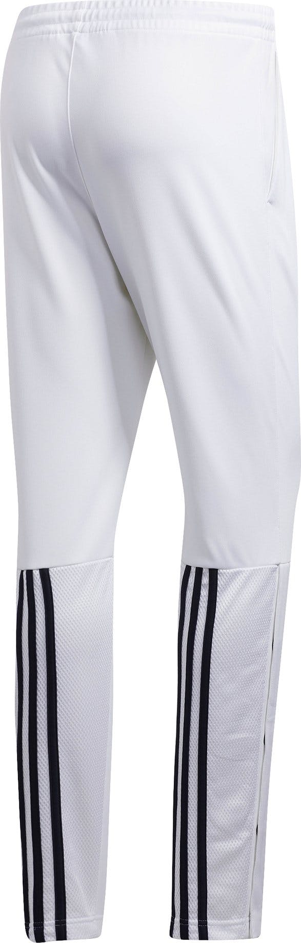 Product gallery image number 4 for product Snap Pant - Men's