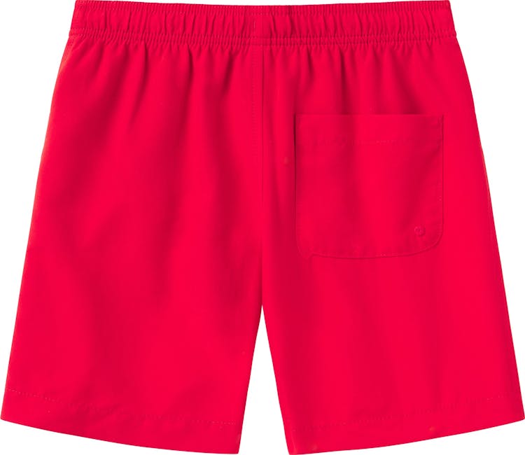 Product gallery image number 2 for product Solid Volley 15 In Swim Shorts - Boys