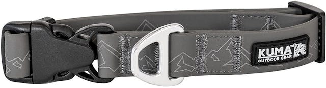 Product image for Soggy Dog Collar