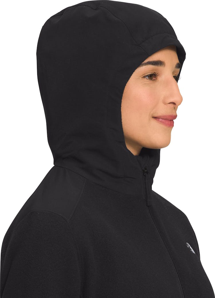 Product gallery image number 3 for product Alpine Polartec 200 Full Zip Hooded Jacket - Women's