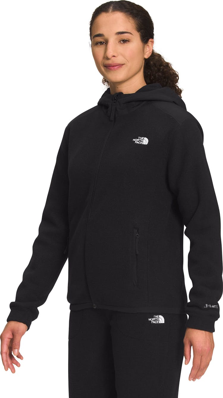 Product gallery image number 4 for product Alpine Polartec 200 Full Zip Hooded Jacket - Women's