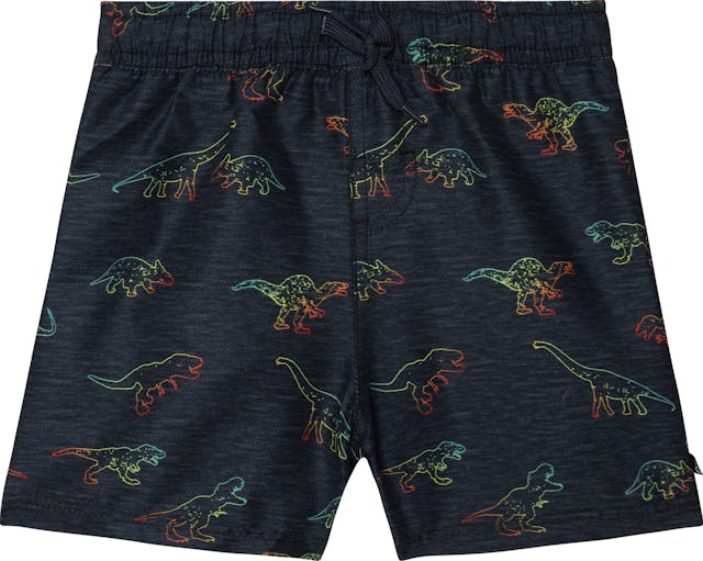 Product image for Printed Dinosaurs Boardshorts - Big Boys