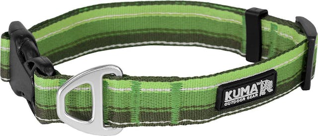 Product image for Backtrack Dog Collar