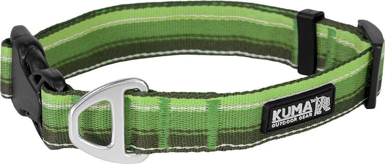 Product gallery image number 1 for product Backtrack Dog Collar