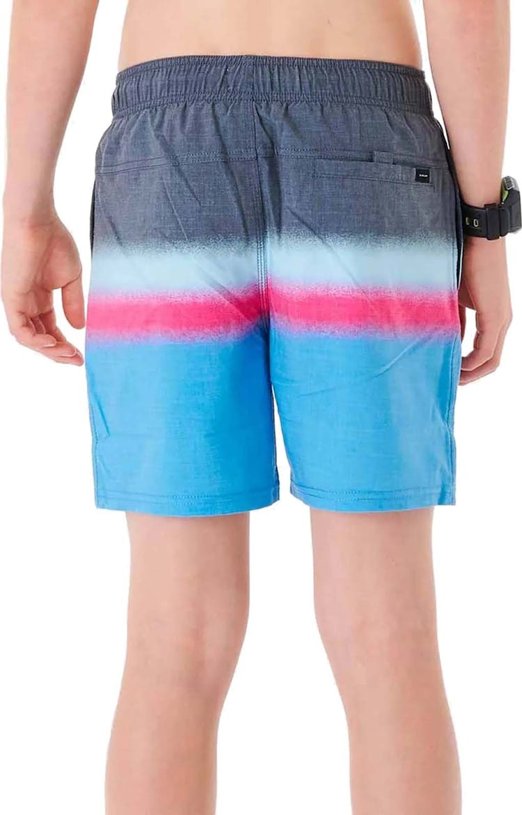 Product gallery image number 3 for product Surf Revival Volley Boardshorts - Boys