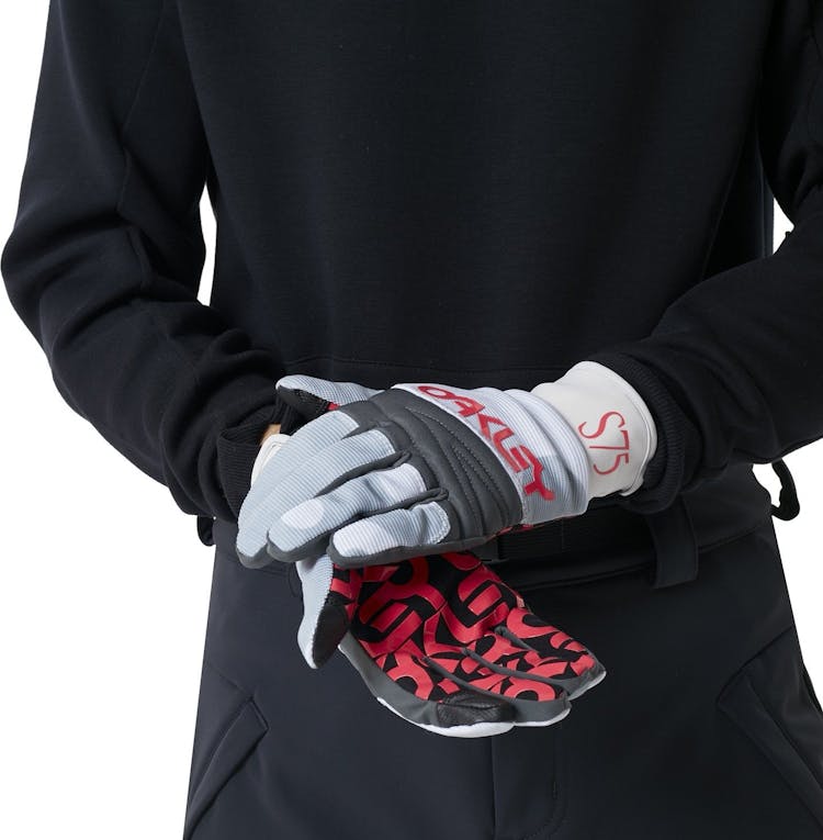 Product gallery image number 2 for product Factory Park Gloves - Men's